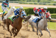 How do you select the best racing stable for your horses?