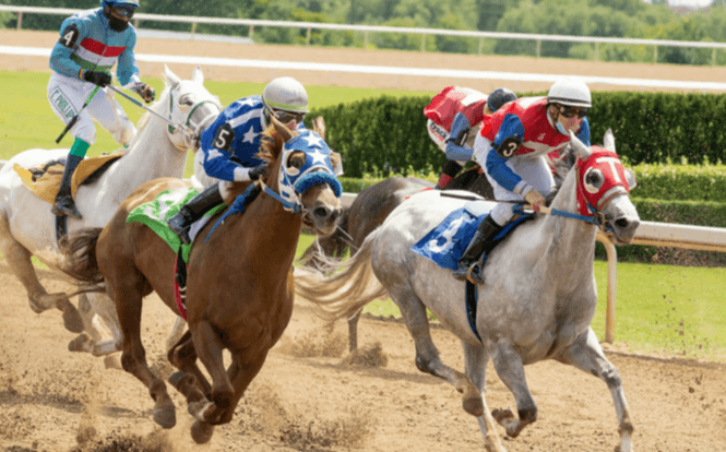 How do you select the best racing stable for your horses?