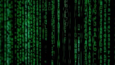 phone number observations noted