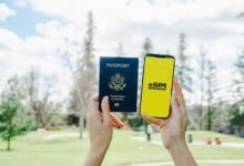 phone numbers identity search