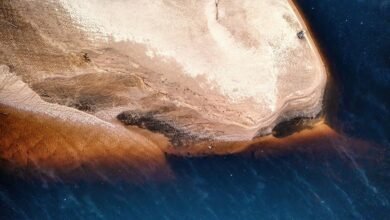 alefudoli overview and features