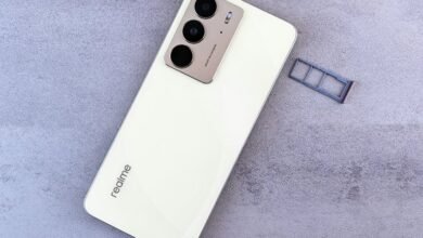 cerexport capabilities and applications