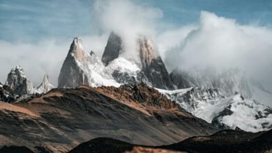 conversion optimization for roi