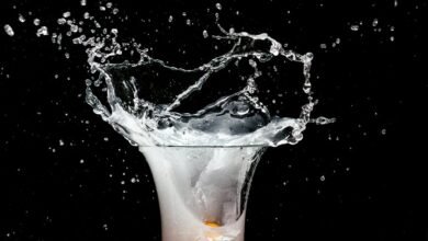 impact of conversion system