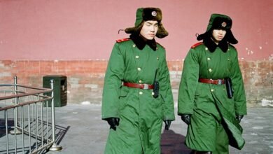 market presence authority signal