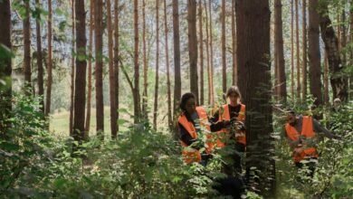 search blueprint for visibility