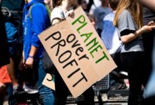 gravity surge 910714533 profit orbit