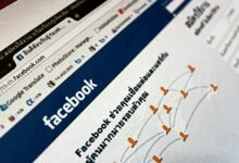 network feedback notes linked to 19verona99 and activity records