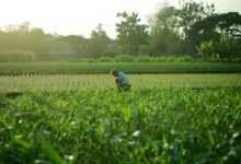 unlock creativity and enhance life