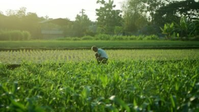 unlock creativity and enhance life