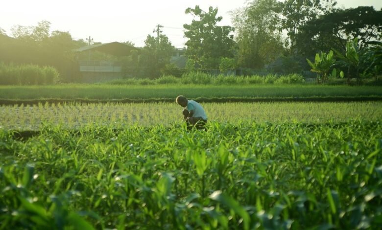 unlock creativity and enhance life